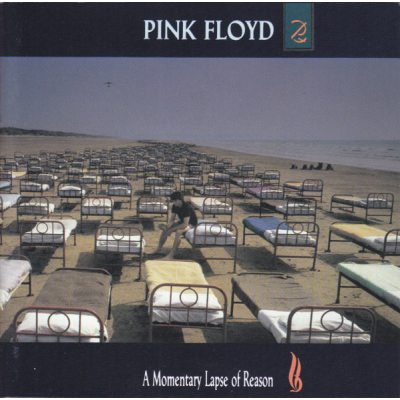 Pink Floyd A Momentary Lapse Of Reason, CD