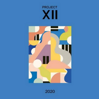 VARIOUS ARTISTS Project XII 2020, LP (180 Gram High Quality Pressing Vinyl)