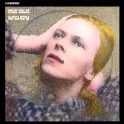 BOWIE, DAVID HUNKY DORY (50TH ANNIVERSARY) Limited Picture Vinyl Poster 12" винил