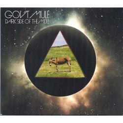 GOVT MULE Dark Side Of The Mule, 2LP (Limited Edition, Glow In the Dark Vinyl)