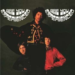 HENDRIX, JIMI EXPERIENCE Are You Experienced, 2LP (Gatefold, Reissue, Remastered,180 Gram Pressing Vinyl)