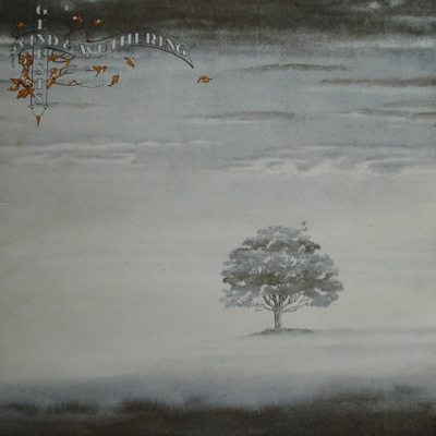 GENESIS Wind & Wuthering, LP (Reissue, Remastered,180 Gram High Quality, Черный Винил)