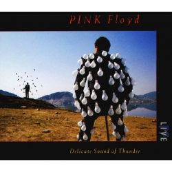 PINK FLOYD Delicate Sound Of Thunder, 2CD (Reissue, Remastered)