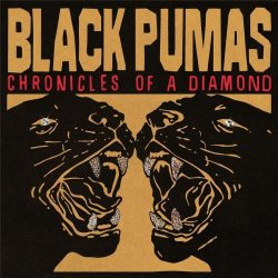BLACK PUMAS Chronicles Of A Diamond, CD 