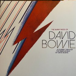 VARIOUS ARTISTS The Many Faces Of David Bowie, 2LP (Limited Edition, Reissue, Gatefold, High Quality Red Blue Vinyl)