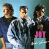 JOY Joy and Tears, LP (Reissue)