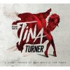 VARIOUS ARTISTS The Many Faces Of Tina Turner, 2LP (Limited Edition, Coloured Vinyl)