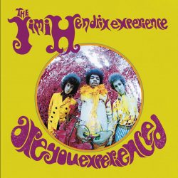 Jimi Hendrix / Experience are You Experienced / LP