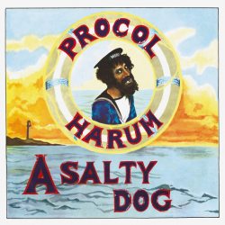 PROCOL HARUM A SALTY DOG (Remastered,180 Gram High Quality Pressing Vinyl), LP