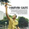 Gaye, Marvin Icon CD
