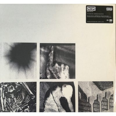 Nine Inch Nails Bad Witch 12" винил