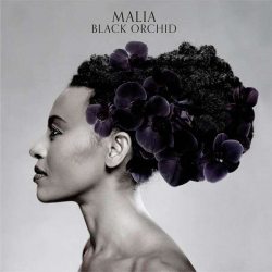 Malia Black Orchid 12” Винил