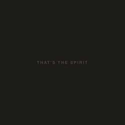Bring Me the Horizon. Thats The Spirit (CD)