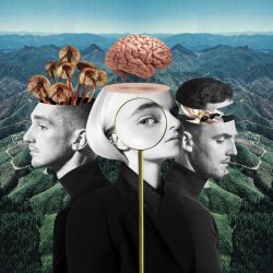 CLEAN BANDIT WHAT IS LOVE? Jewelbox CD